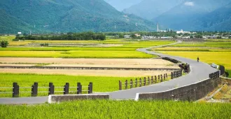 Taiwan Taitung Kaohsiung Alishan - ทัวร์ไต้หวัน ไถตง เกาสง นั่งรถไฟโบราณอาหลีซาน ชมป่าสนพันปี