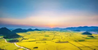 China Yunnan Kunming Xingyi Luoping - ทัวร์จีน ยูนนาน คุนหมิง ซิงยี่ โหลวผิง ชมทุ่งดอกมัสตาร์ด สีเหลืองอร่ามไปทั่วขุนเขาสุดลูกหูลูกตา (ลงร้าน)