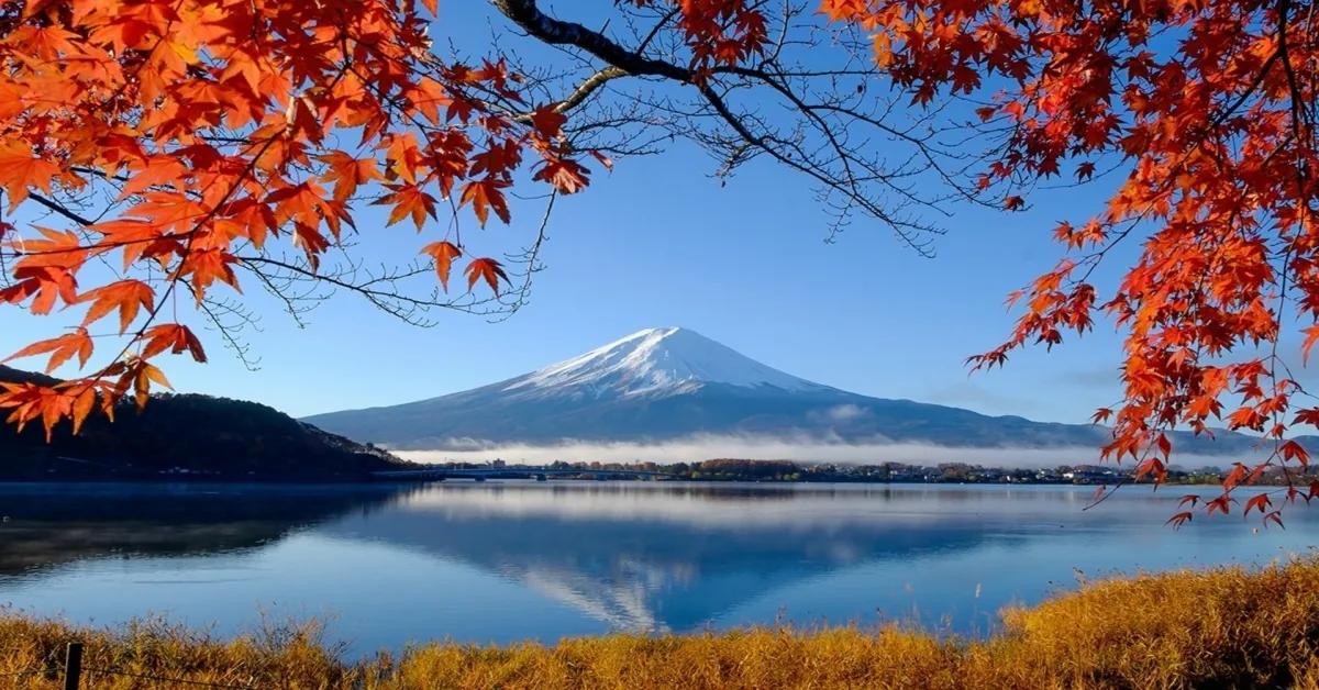  Japan Tokyo Fuji Nikko Ibaraki Autumn - ทัวร์ญี่ปุ่น โตเกียว ฟูจิ นิกโก้ อิบารากิ ใบไม้เปลี่ยนสี
