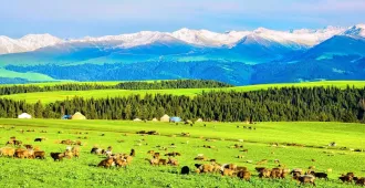 China Xinjiang Yining Narat Grassland Kalajun Sayram Lake - ทัวร์จีน ซินเจียง อี้หนิง ทุ่งหญ้านาราถี คาลาจุ้น ทะเลสาบไซหลี่มู่  (ไม่ลงร้าน)