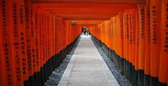 Japan Osaka Kyoto Uji Ine Fushimiinari taisha - ทัวร์ญี่ปุ่น โอซาก้า เกียวโต อุจิ อิเนะ ชมศาลเจ้าฟูชิมิอินาริ  (อิสระ 1 วัน)