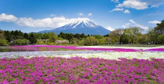 Japan Narita Kamikochi Shiba Sakura Fuji - ทัวร์ญี่ปุ่น มหัศจรรย์... นาริตะ คามิโคจิ พิ้งค์มอส ฟูจิ