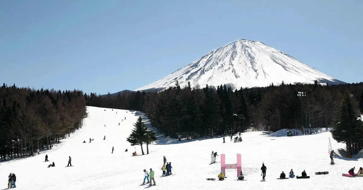 Japan Tokyo Fuji Yamanashi Ski Fujiten Hakone Free Day - ทัวร์ญี่ปุ่น โตเกียว ฟูจิ ยามานาชิ สนุกไปกับการเล่นสกีฟูจิเท็น ล่องเรือทะเลสาบชมวิวฟูจิและขอพรเสริมมงคลที่ฮาโกเน่  (อิสระ 2 วัน)