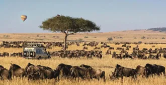 Kenya Tanzania Arusha Nairobi  Serengeti National Park - ทัวร์เคนย่า แทนซาเนีย อรูชา ไนโรบี อุทยานแห่งชาติเซเรนเกติ 