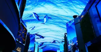 South Korea Seoul Arte Museum  Songdo Central Park - ทัวร์เกาหลีใต้ โซล เที่ยวชม อควาเรียมมีเดียอาร์ต ซองโดเซนทรัลพาร์ค (อิสระ 1 วันเต็ม)