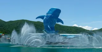 Macau Zhuhai Ocean Kingdom Park - ทัวร์มาเก๊า จูไห่ เพลิดเพลินกับสวนสนุกฉางหลง และ โรงละครไข่หอยมุก (ไม่ลงร้าน)