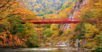 Japan Hokkaido Toya Jozankei Feel Good Autumn - ทัวร์ญี่ปุ่น ฮอกไกโด โทยะ โจซังเค แช่น้ำแร่ธรรมชาติโจซังเค คลองโอตารุ ศาลเจ้าฮอกไกโด นั่งกระเช้าพร้อมชมใบไม้เปลี่ยนสี