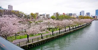 Japan Tokyo Nagoya Narita Hamamatsu Fuji Sakura - ทัวร์ญี่ปุ่น โตเกียว นาโกย่า นาริตะ ฮามามัตสึ ฟูจิ ชมซากุระ