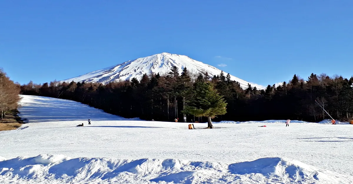 Japan Tokyo Narita Hakone Fuji Odaiba Ski Fujiten Freeday Disneyland - ทัวร์ญี่ปุ่น โตเกียว นาริตะ ฮาโกเน่ ฟูจิ โอไดบะ ลานสกีฟูจิเท็น อิสระเต็มวัน ดิสนีย์แลนด์ (พักออนเซ็น 1 คืน)