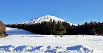 Japan Tokyo Narita Hakone Fuji Odaiba Ski Fujiten Freeday Disneyland - ทัวร์ญี่ปุ่น โตเกียว นาริตะ ฮาโกเน่ ฟูจิ โอไดบะ ลานสกีฟูจิเท็น อิสระเต็มวัน ดิสนีย์แลนด์ (พักออนเซ็น 1 คืน)