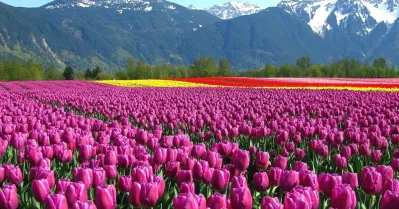 รูปภาพทัวร์