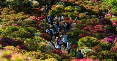 รูปภาพทัวร์