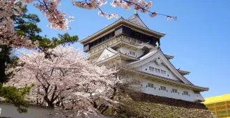 Japan Fukuoka Kumamoto Beppu Sakura - ทัวร์ญี่ปุ่น ฟุกุโอกะ คุมาโมโต้ เบปปุ เที่ยวชมซากุระรอบปราสาทคุมาโมโตะและนั่งเฟอร์รี่สู่เกาะซากุระจิมะ