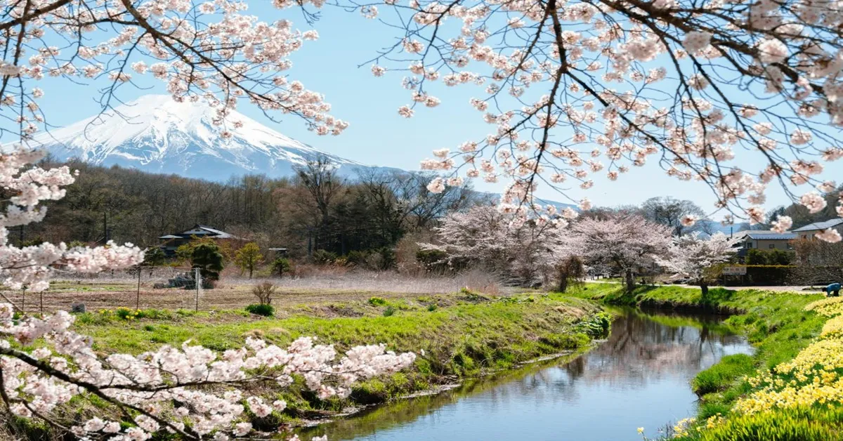 Japan Tokyo Fuji Kawagoe Spring Oshino Hakkai  - ทัวร์ญี่ปุ่น โตเกียว ฟูจิ คาวาโกเอะ หมู่บ้านโอชิโนะฮัคไค