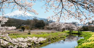Japan Tokyo Fuji Kawagoe Spring Oshino Hakkai  - ทัวร์ญี่ปุ่น โตเกียว ฟูจิ คาวาโกเอะ หมู่บ้านโอชิโนะฮัคไค