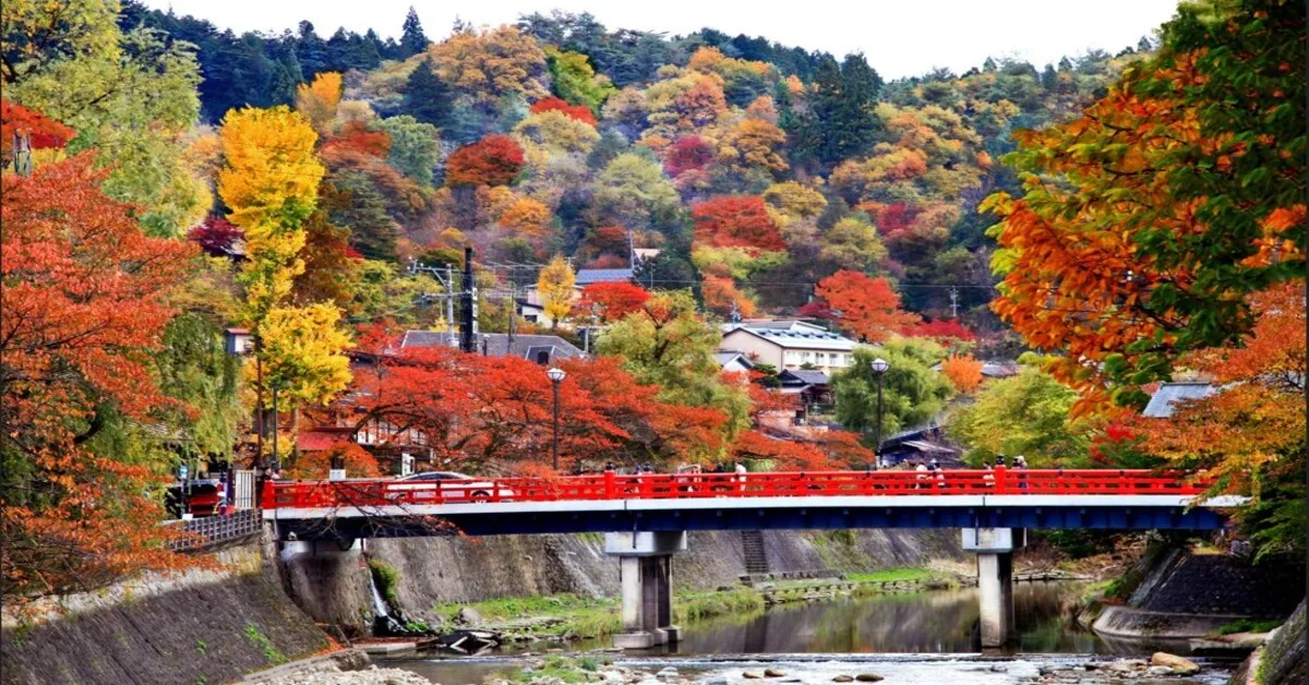 Japan Osaka Kyoto Takayama Nakabashi Bridge Autumn - ทัวร์ญี่ปุ่น โอซาก้า เกียวโต ทาคายาม่า สะพานนาคาบาชิ ใบไม้เปลี่ยนสี 