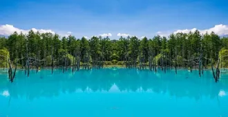 Japan Hokkaido Furano Shikisai No Oka Free Day - ทัวร์ญี่ปุ่น ฮอกไกโด ฟุราโนะ ชมทุ่งดอกไม้หลากสีชิกิไซโนะ โอกะ (อิสระ 1 วัน)