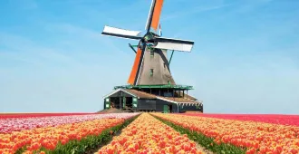 Benelux Belgium Netherlands Germany Luxembourg - ทัวร์เบเนลักซ์ เบลเยี่ยม เนเธอร์แลนด์ เยอรมนี ลักเซมเบิร์ก เทศกาลดอกไม้ที่สวยที่สุด