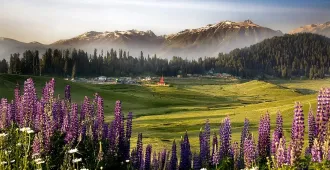 India Kashmir Srinagar Gulmarg Pahalgam Sonsmarg - ทัวร์อินเดีย แคชเมียร์ ศรีนาคา กุลมาร์ค พาฮาลแกรม โซนามาร์ค พิชิต 2 เขา