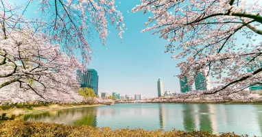 รูปภาพทัวร์