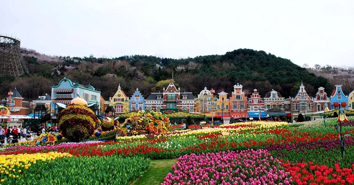 รูปภาพทัวร์