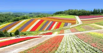 Japan Hokkaido Sapporo Asahikawa - ทัวร์ญี่ปุ่น ฮอกไกโด ซัปโปโร อาซาฮิคาวะ เสน่ห์ทุ่งดอกไม้แห่งฮอกไกโด สวย โรแมนติก