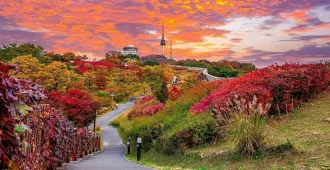 Korea Seoul Autumn - ทัวร์เกาหลี โซล ชมใบไม้เปลี่ยนสี  