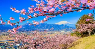 Japan Tokyo Narita Fuji Matsuda Sakura - ทัวร์ญี่ปุ่น โตเกียว นาริตะ ฟูจิ ชมเทศกาลมัตสึดะซากุระและสนุกสุดเหวี่ยงกับกิจกรรมสกี (อิสระ 1 วัน) 