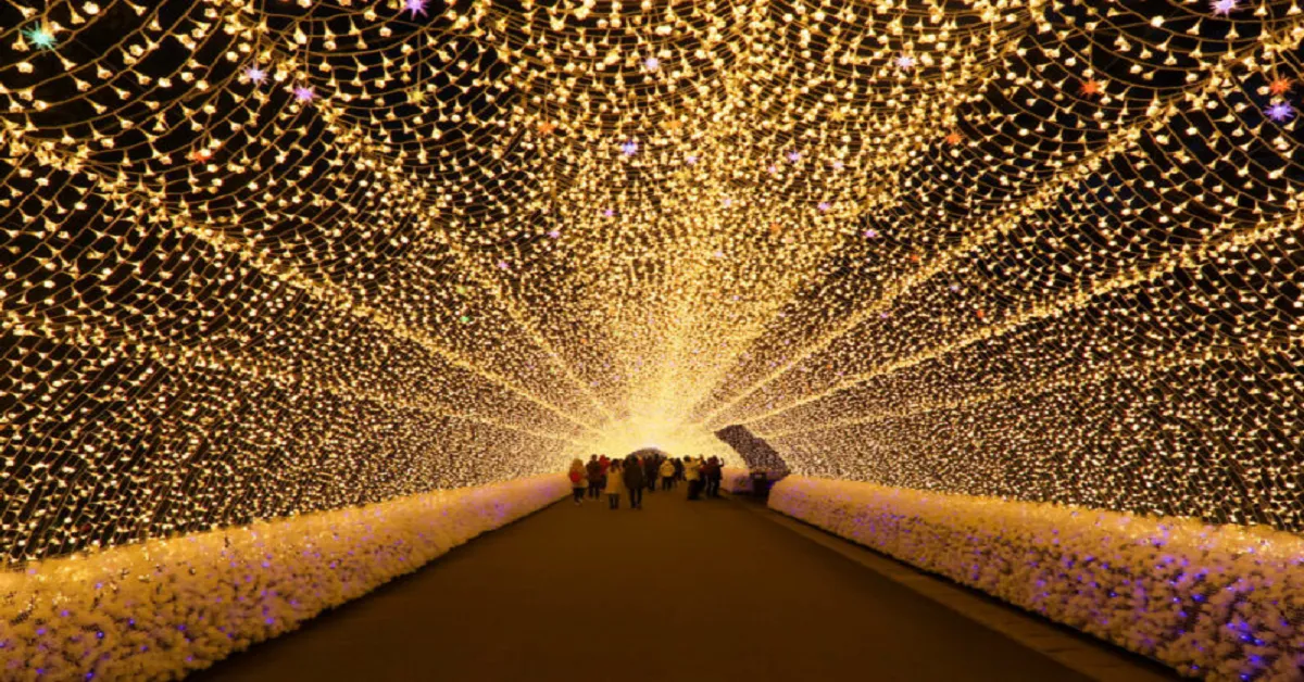 Japan Osaka Shirakawago Uji Illumination - ทัวร์ญี่ปุ่น มหัศจรรย์ โอซาก้า ชิราคาวาโกะ อุจิ เทศกาลประดับไฟนาบานาโนะซาโตะ