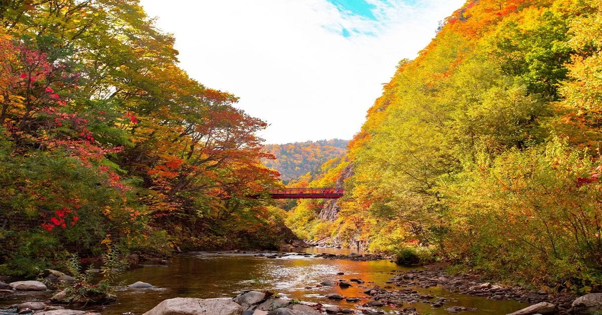 Japan Hokkaido Otaru Sapporo Jozankei Autumn  - ทัวร์ญี่ปุ่น ฮอกไกโด โอตารุ ซัปโปโร ชมใบไม้เปลี่ยนสีโจซังเค 