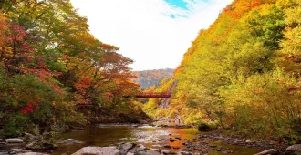 Japan Hokkaido Otaru Sapporo Jozankei Autumn  - ทัวร์ญี่ปุ่น ฮอกไกโด โอตารุ ซัปโปโร ชมใบไม้เปลี่ยนสีโจซังเค 