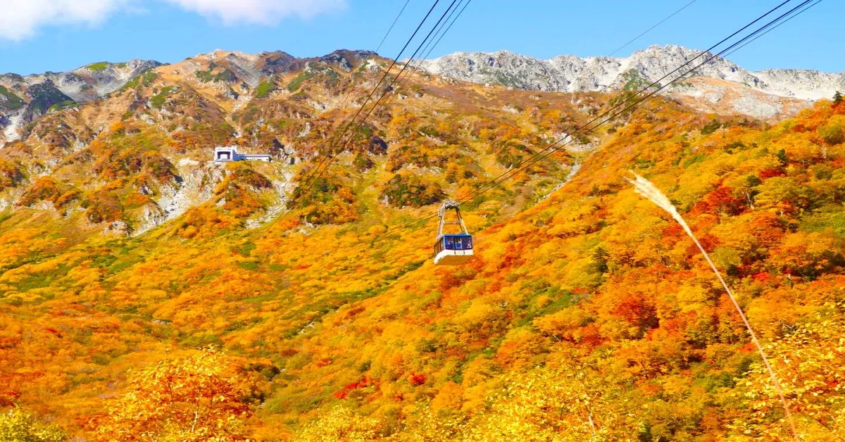 Japan Osaka Tokyo Nagoya Kyoto Autumn  - ทัวร์ญี่ปุ่น โอซาก้า โตเกียว นาโกย่า เกียวโต ชมฤดูใบไม้เปลี่ยนสี