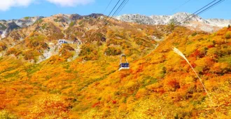 Japan Osaka Tokyo Nagoya Kyoto Autumn  - ทัวร์ญี่ปุ่น โอซาก้า โตเกียว นาโกย่า เกียวโต ชมฤดูใบไม้เปลี่ยนสี