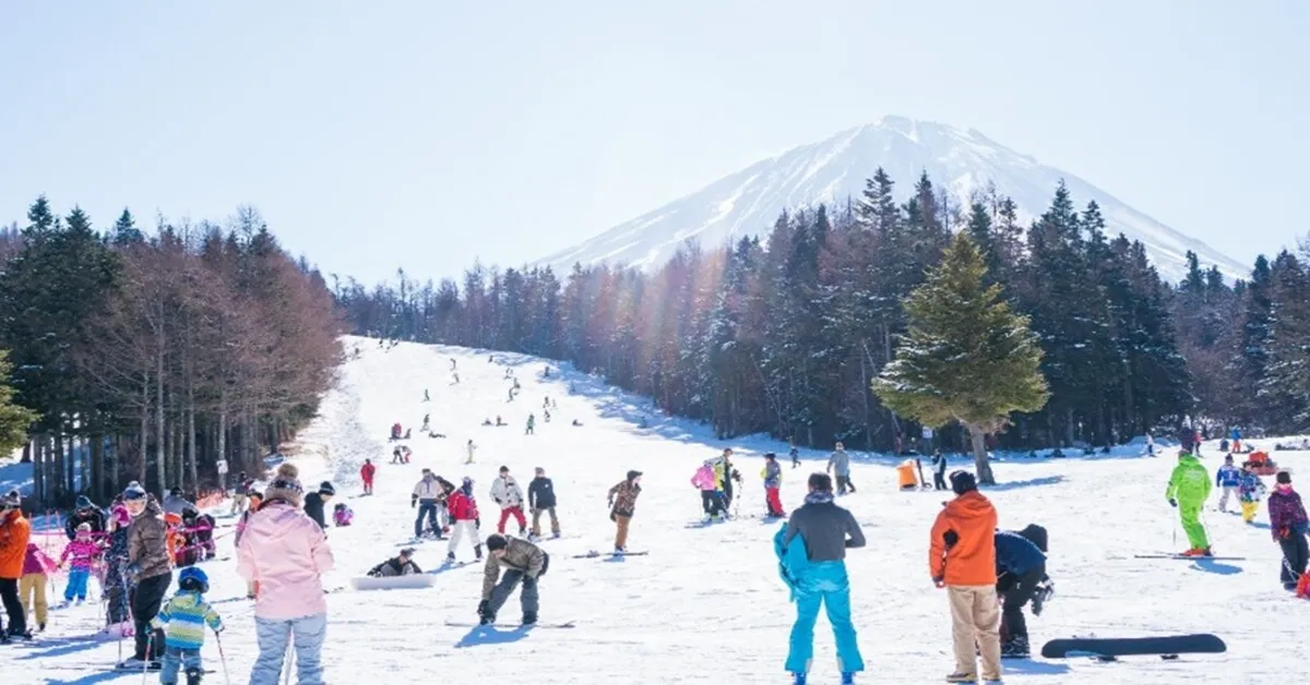 Japan Nagoya Osaka Shirakawago Fujiten Ski Resort Illumination - ทัวร์ญี่ปุ่น นาโกย่า โอซาก้า ชิราคาวาโกะ ลานสกีฟูจิเท็น เทศกาลประดับไฟ