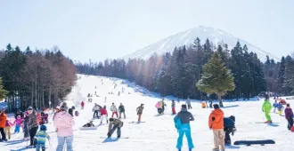 Japan Nagoya Osaka Shirakawago Fujiten Ski Resort Illumination - ทัวร์ญี่ปุ่น นาโกย่า โอซาก้า ชิราคาวาโกะ ลานสกีฟูจิเท็น เทศกาลประดับไฟ