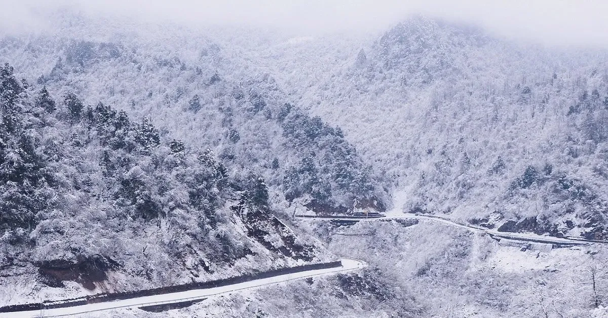China Chengdu Wawu Mountain Panda - ทัวร์จีน เฉิงตู นั่งกระเช้าไฟฟ้า ชมความสวยงามภูเขาวาวู่ เยือนถิ่นแพนด้าสุดน่ารัก (ไม่ลงร้าน)