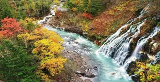 Japan Hokkaido Asahikawa Biei Sapporo Autumn  - ทัวร์ญี่ปุ่น มหัศจรรย์ ฮอกไกโด อาซาฮิกาว่า บิเอะ ซัปโปโร ชมใบไม้เปลี่ยนสีเกาะฮอกไกโด (อิสระ 1 วัน)
