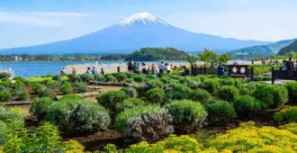 Japan Tokyo Hakone Narita Spring in Fuji - ทัวร์ญี่ปุ่น โตเกียว ฮาโกเน่ นาริตะ ฟูจิ อิสระท่องเที่ยว 1 วันเต็ม