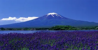 Japan Osaka Tokyo Kamikochi  - ทัวร์ญี่ปุ่น โอซาก้า โตเกียว คามิโคจิ