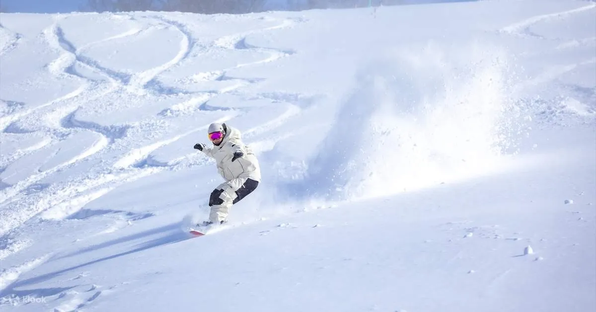  Japan Tokyo Osaka Fuji Takayama Ski - ทัวร์ญี่ปุ่น โตเกียว โอซาก้า ฟูจิ ทาคายาม่า สนุกกับกิจกรรมลานสกีและกิจกรรมเก็บสตรอว์เบอร์รี