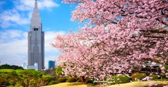 Japan Osaka Kyoto Nagoya Tokyo Sakura - ทัวร์ญี่ปุ่น โอซาก้า เกียวโต นาโกย่า ชิซุโอกะ ยามานาชิ โตเกียว ชมซากุระ