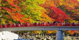 Japan Tokyo Osaka Obara Korankei Gorge Gotokuji Temple Autumn Free Day - ทัวร์ญี่ปุ่น โตเกียว โอซาก้า โอบาระ หุบเขาโครังเค วัดโกโตคุจิ ใบไม้เปลี่ยนสี อิสระ 1 วัน