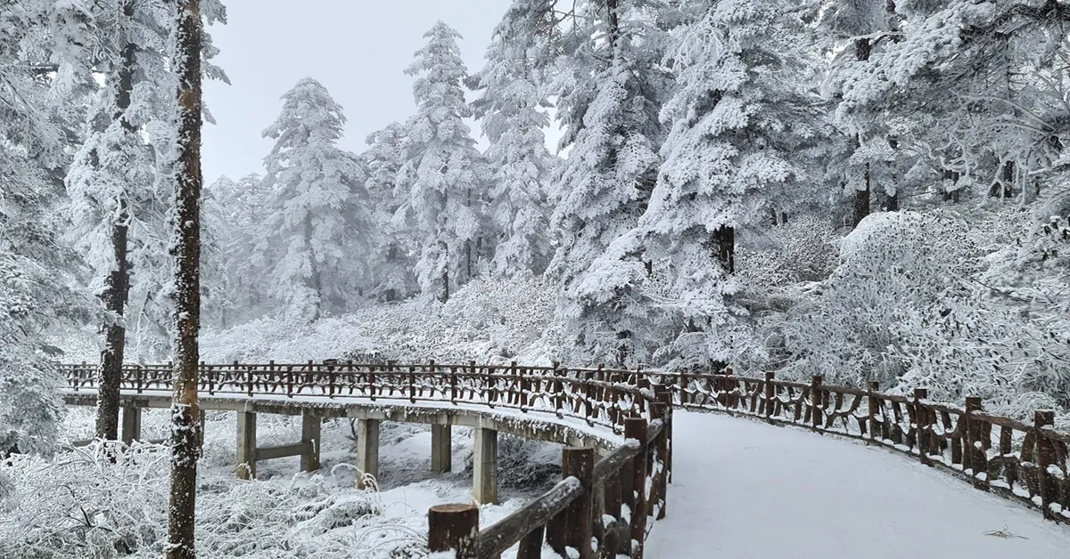 China Chengdu Wawu Mountain - ทัวร์จีน เฉิงตู ชมภูเขาหิมะวาวู่และแพนด้ายักษ์ปืนตึก IFS  (ลงร้าน)