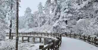 China Chengdu Wawu Mountain - ทัวร์จีน เฉิงตู ชมภูเขาหิมะวาวู่และแพนด้ายักษ์ปืนตึก IFS  (ลงร้าน)