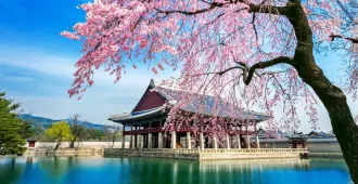 Korea Seoul Seorak Spring Bloom - ทัวร์เกาหลี โซล เที่ยวชมเทศกาลดอกพ็อดกดบานที่ซอรัค