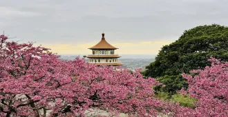 Taiwan Taoyuan Nantou Taipei Sakura Season Part 3 - ทัวร์ไต้หวัน เถาหยวน หนานโถว ไทเป มหัศจรรย์ ชมซากุระ หมู่บ้าน 9 ชนเผ่า วัดอู่จีเทียนหยวน (บินตรงเชียงใหม่)