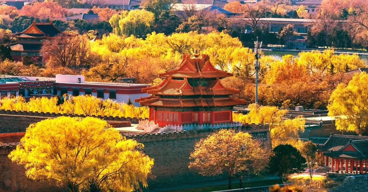 China Beijing The Forbidden City Autumn - ทัวร์จีน ปักกิ่ง ชมใบไม้เปลี่ยนสี พระราชวังต้องห้ามแช่น้ำเเร่ส่วนตัว (ลงร้าน)