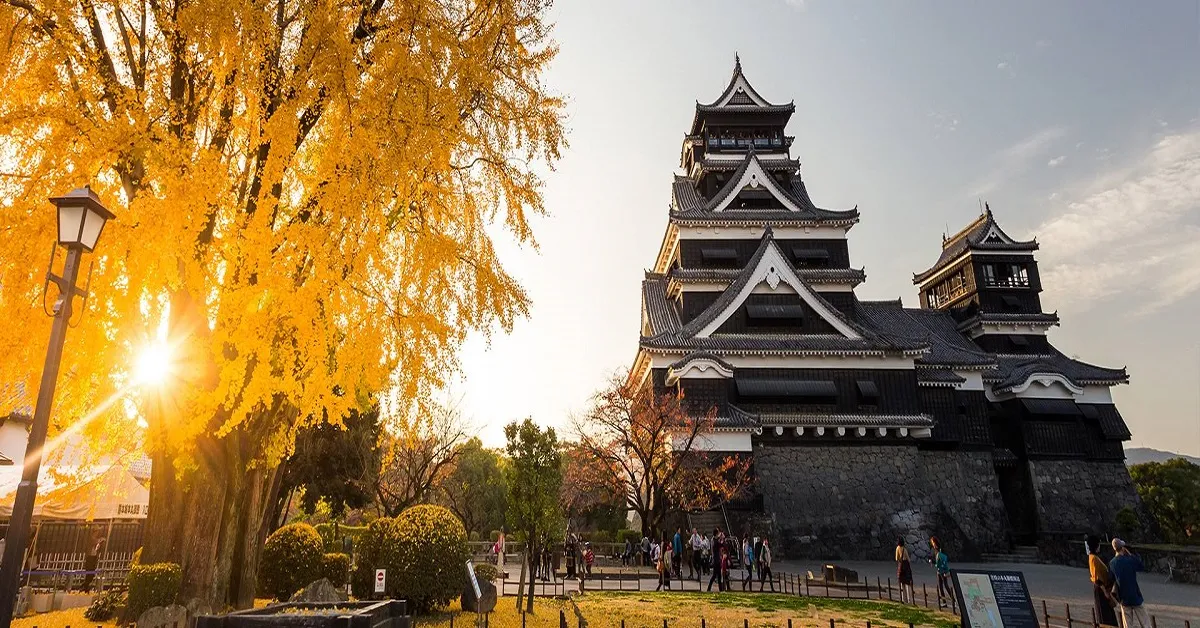 Japan Fukuoka Kyushu Kawaii Autumn - ทัวร์ญี่ปุ่น ฟุกุโอกะ คิวชู คาวาอิ้ ใบไม้เปลี่ยนสี