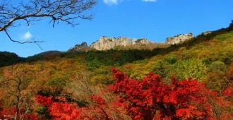 Korea Seoul Seorak Autumn - ทัวร์เกาหลีใต้ โซล ชมใบไม้เปลี่ยนสีโซรัค