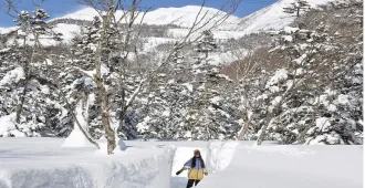 Japan Nagoya Takayama Shirakawago Tsugaike Snow Wall - ทัวร์ญี่ปุ่น นาโกย่า ทาคายาม่า ชิราคาวาโกะ กำแพงหิมะสึกาอิเคะ